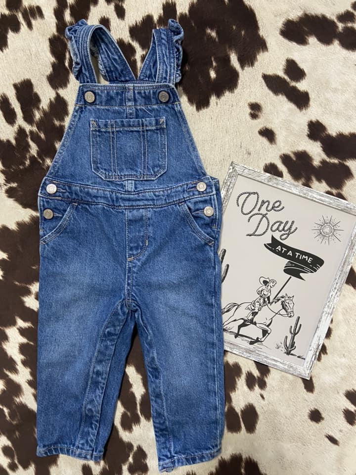 #010225 Girls Gap Denim Overalls Size 18/24 M