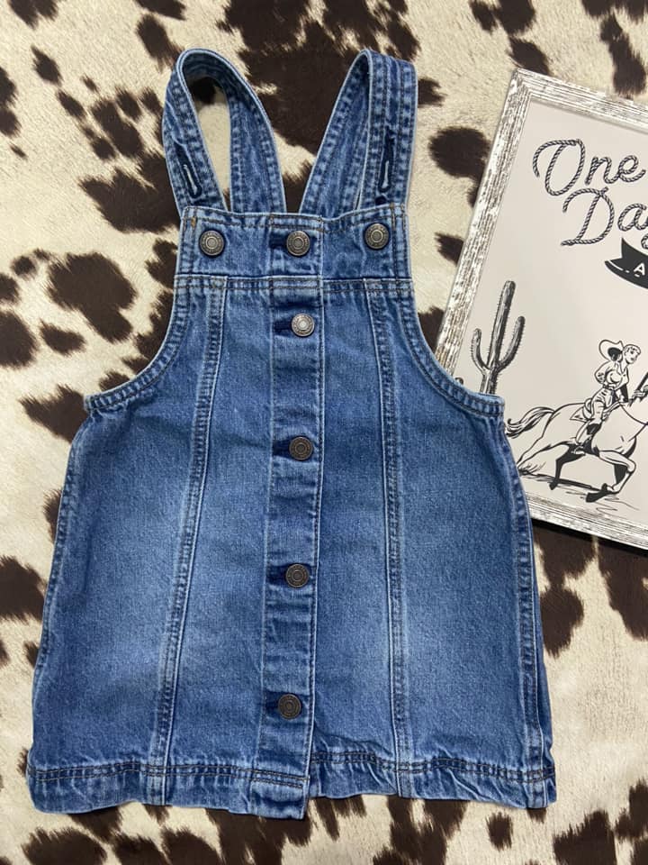 #010225 Baby Girls Gap Denim Dress Size 2