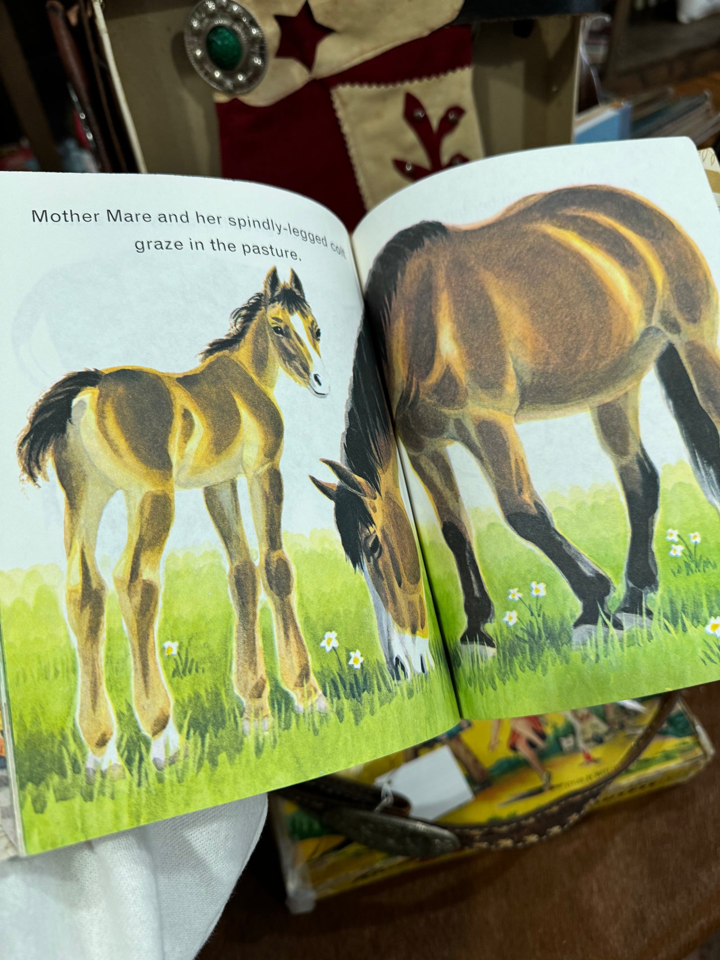 #071924 LW Animals On The Farm Little Golden Book