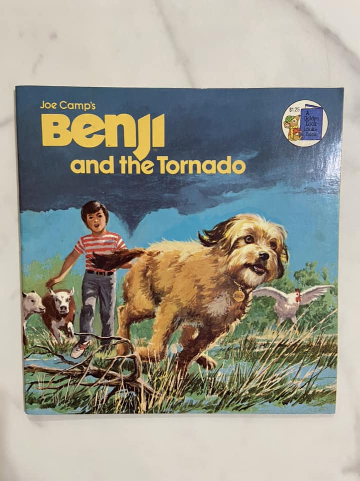 #032224 Benji And The Tornado Book