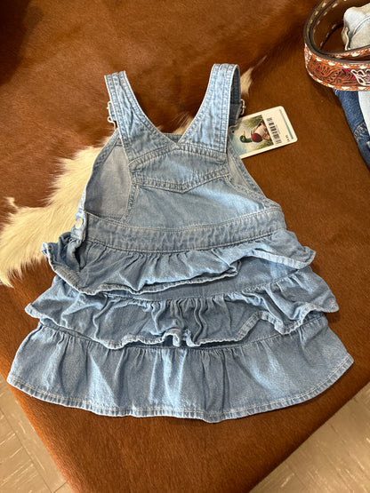 #020725 Wrangler Dress Size 24M