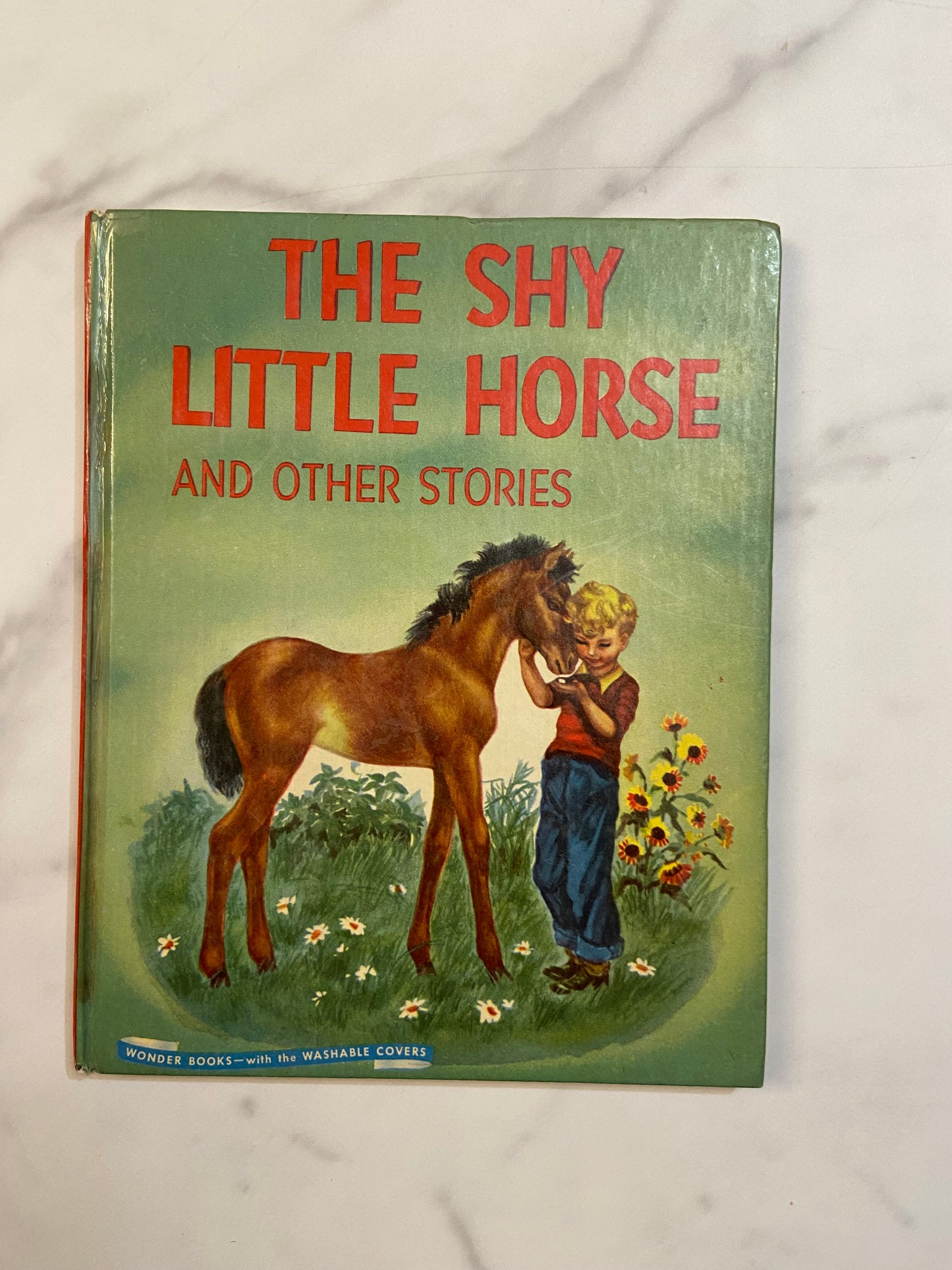 #A070724 The Shy Little Horse Book