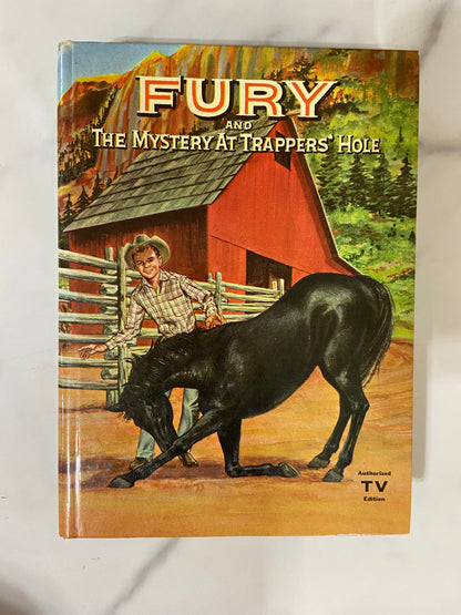 #032424 Fury & The Mystery at Trappers' Hole Book