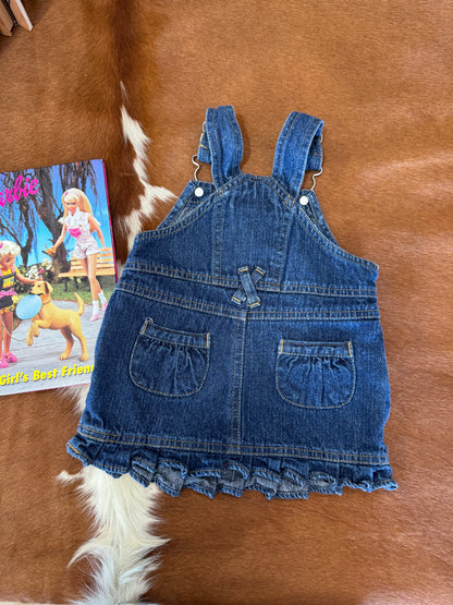 #011125 Arizona Jean Dress Size 6/9 M