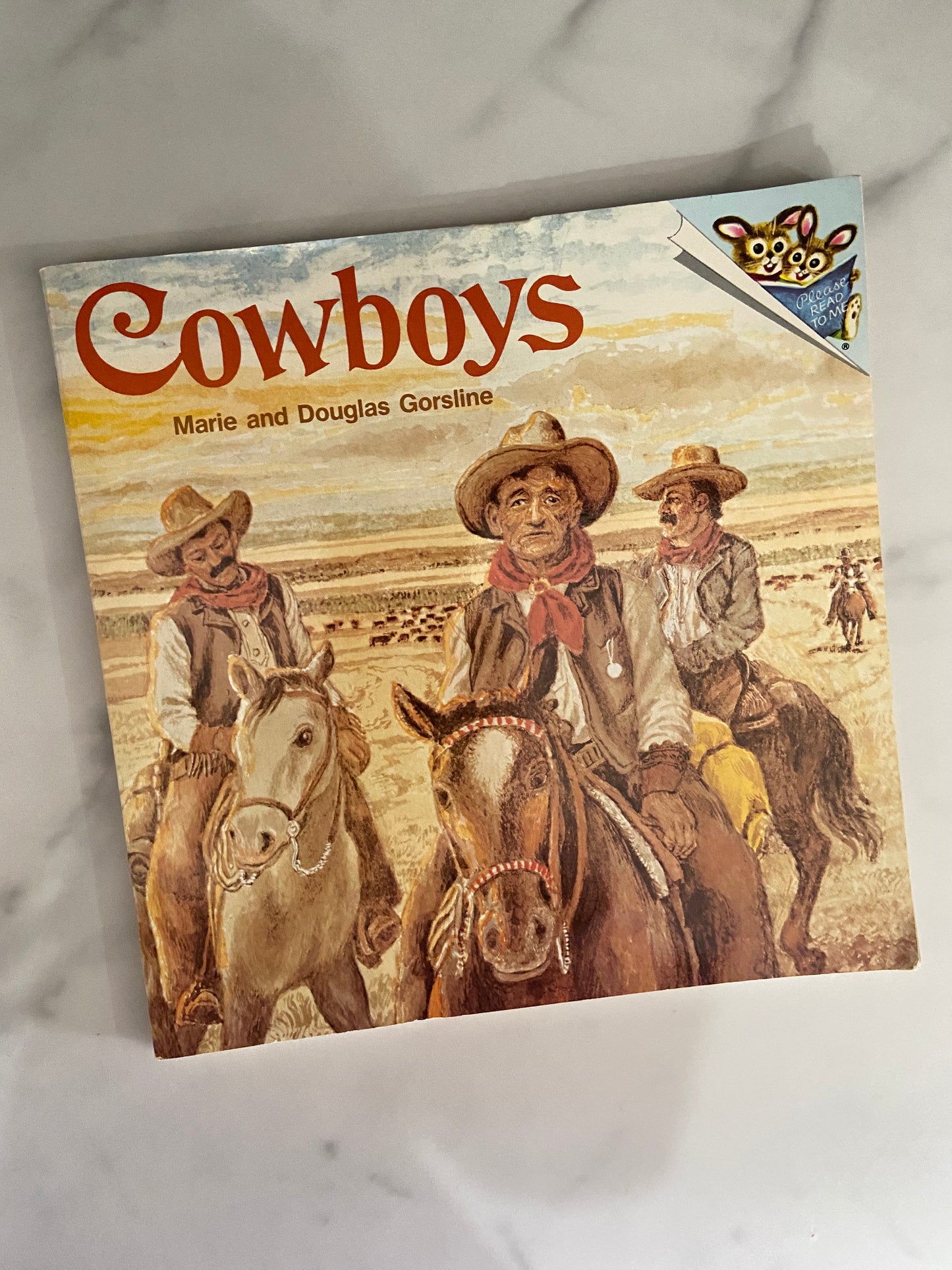 #1107 LW Cowboys Book