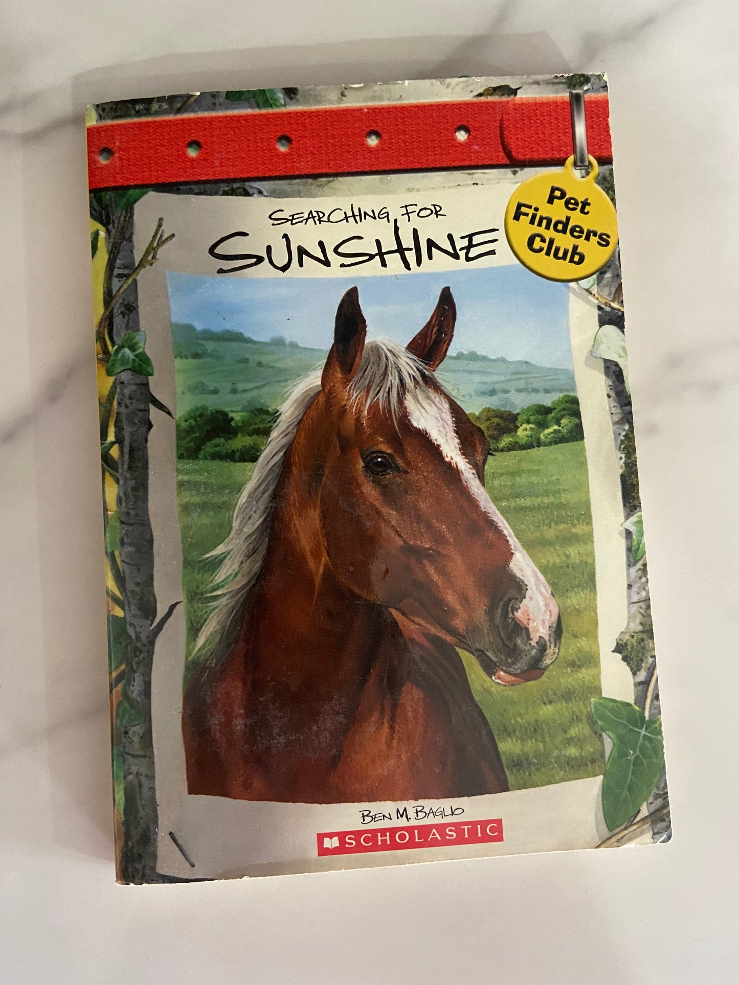 #1025 LW Sunshine Horse Book