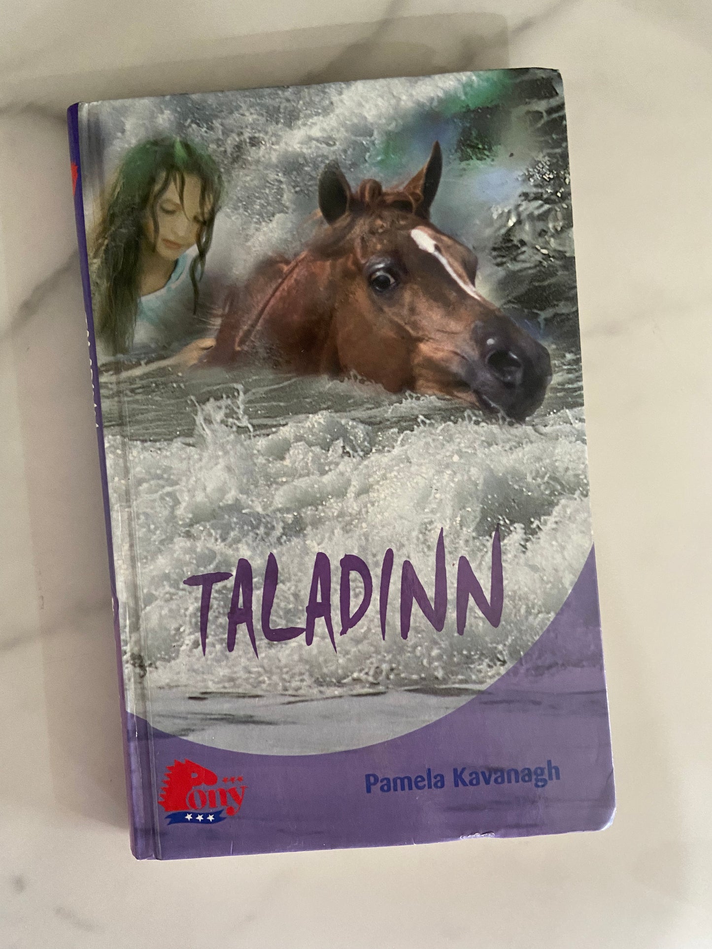 #1025 LW Taladinn Book