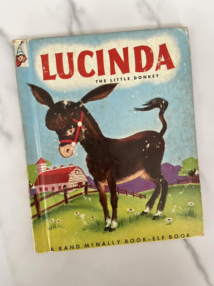 #030124 Lucinda The Little Donkey Book