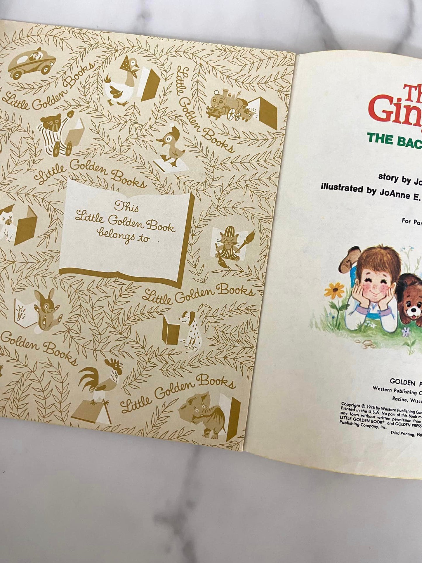 #030124 The Ginghams Backward Picnic Golden Book