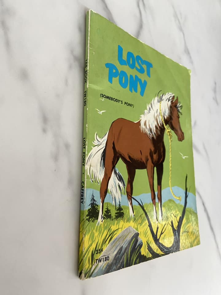 #030124 Lost Pony Book