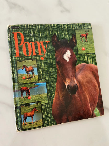 #070824 Pony Book