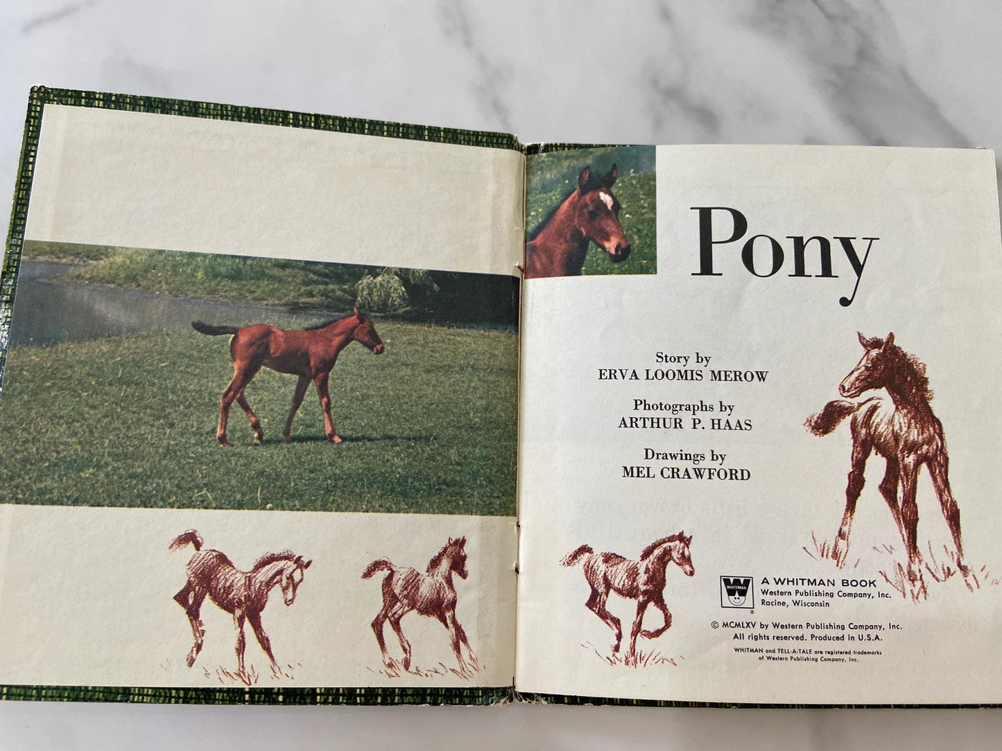 #070824 Pony Book