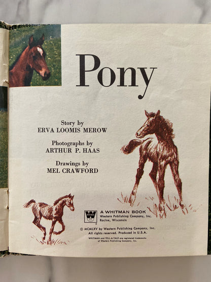 #070824 Pony Book