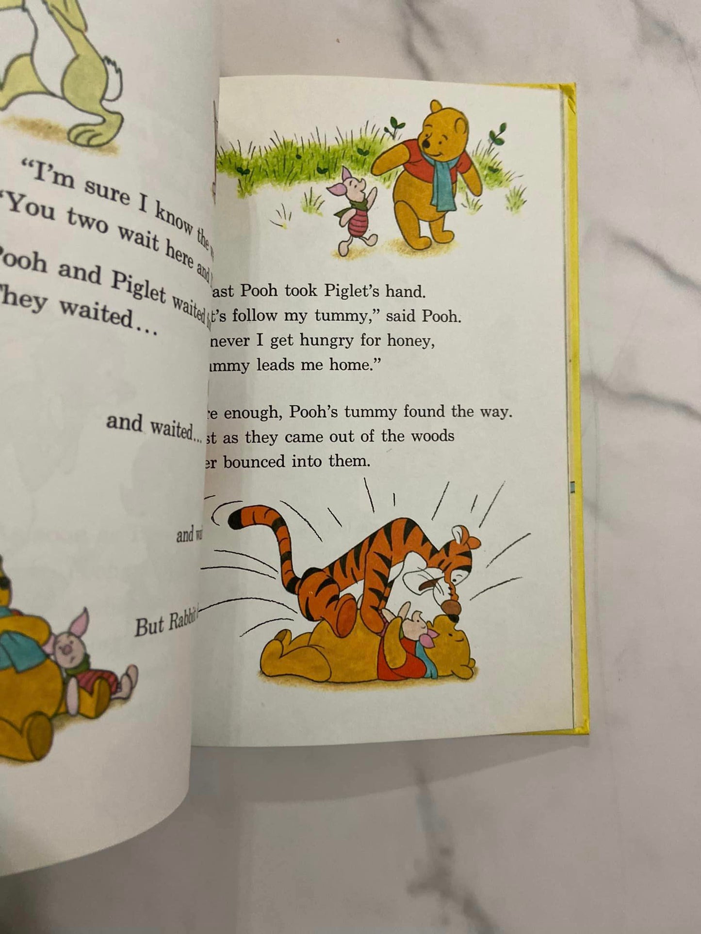 #032224 Winnie The Pooh And Tigger Too Book